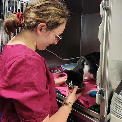 Salle de consultation